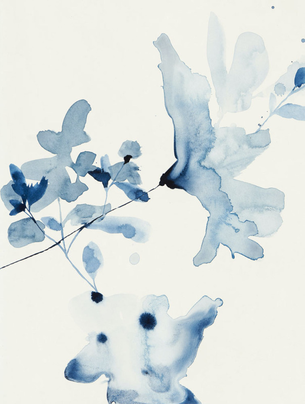 Indigo Soft 2