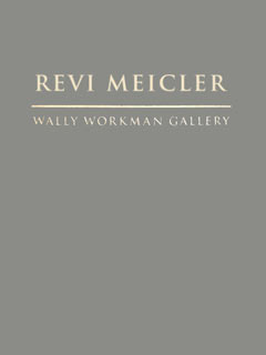 Revi Meicler Portfolio Box