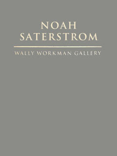 Noah Saterstrom Portfolio Box
