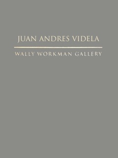 Juan Andres Videla Portfolio Box